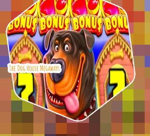 Dog house slot